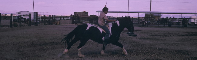 brother and horse