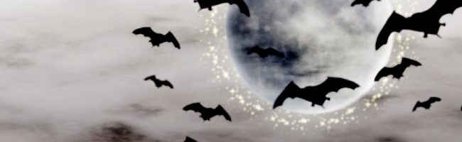 Halloween bats