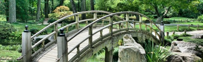 Japanese garden